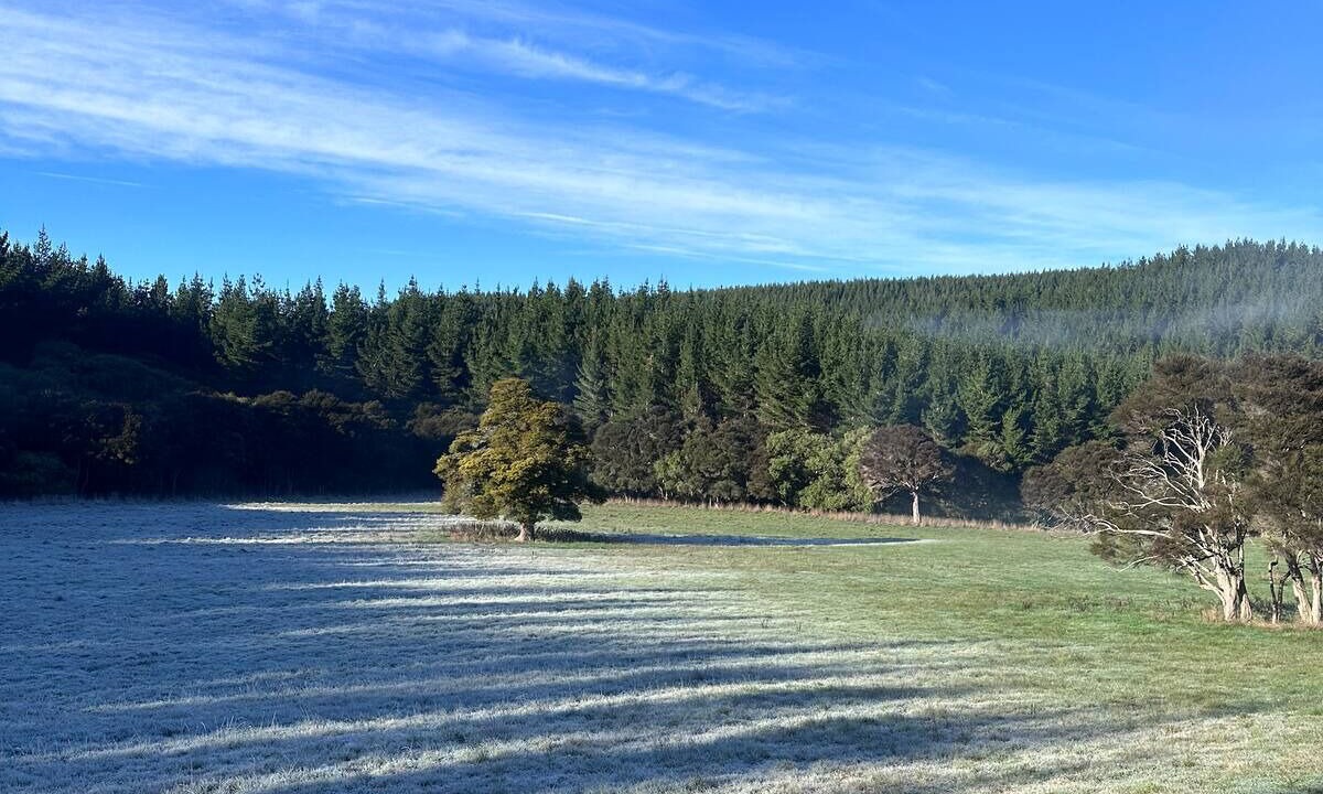 Photo of Others in Solway