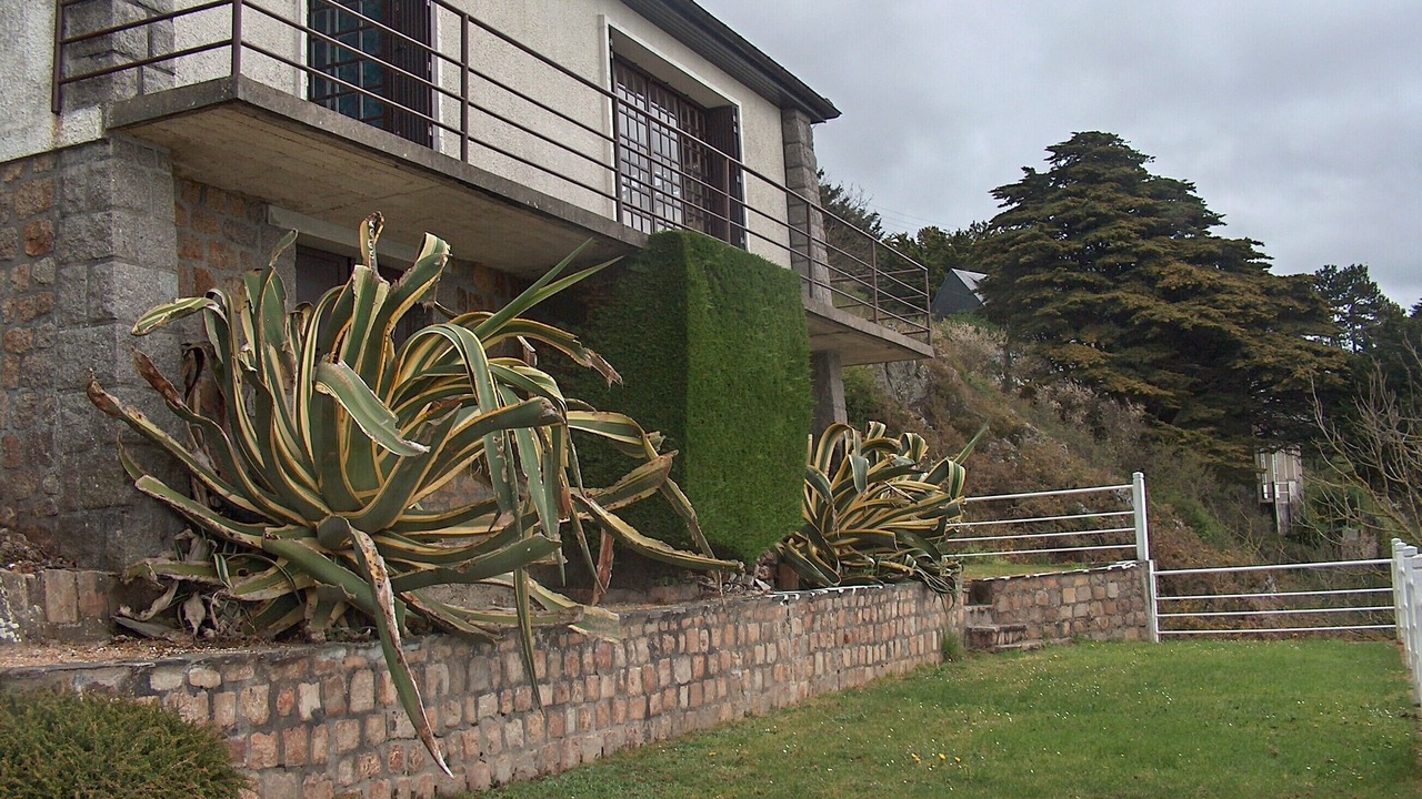 Photo of Outdoor in Champeaux