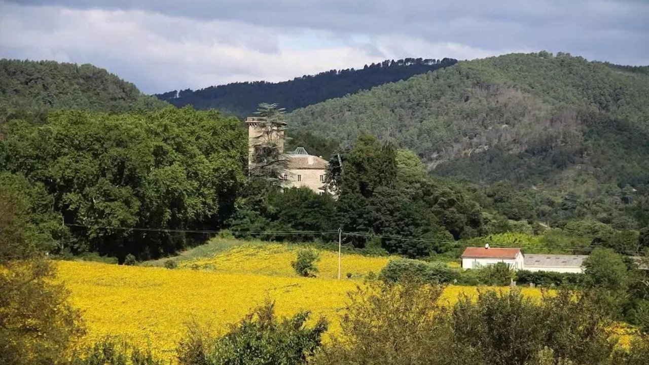 Photo of Others in Cendras