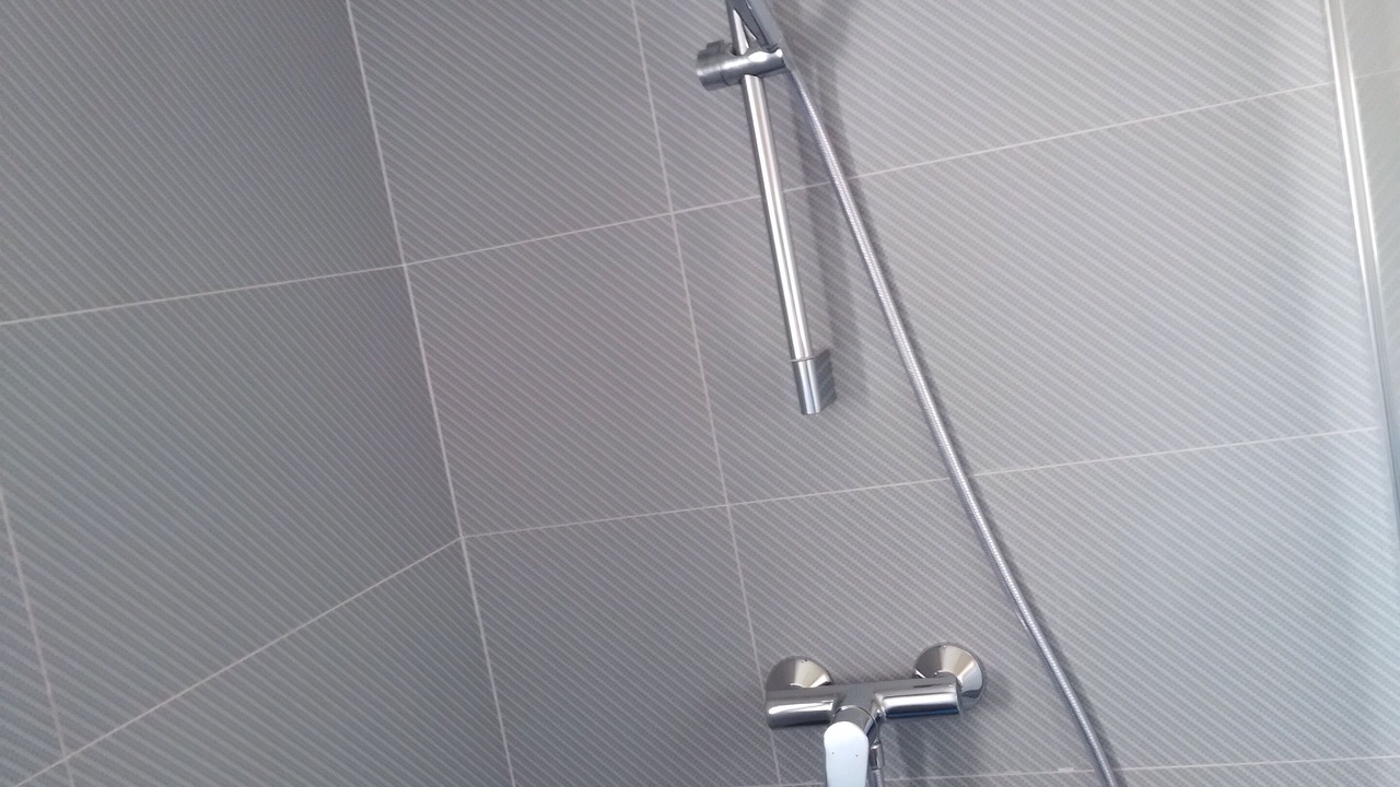 Photo of Bathroom in Caska
