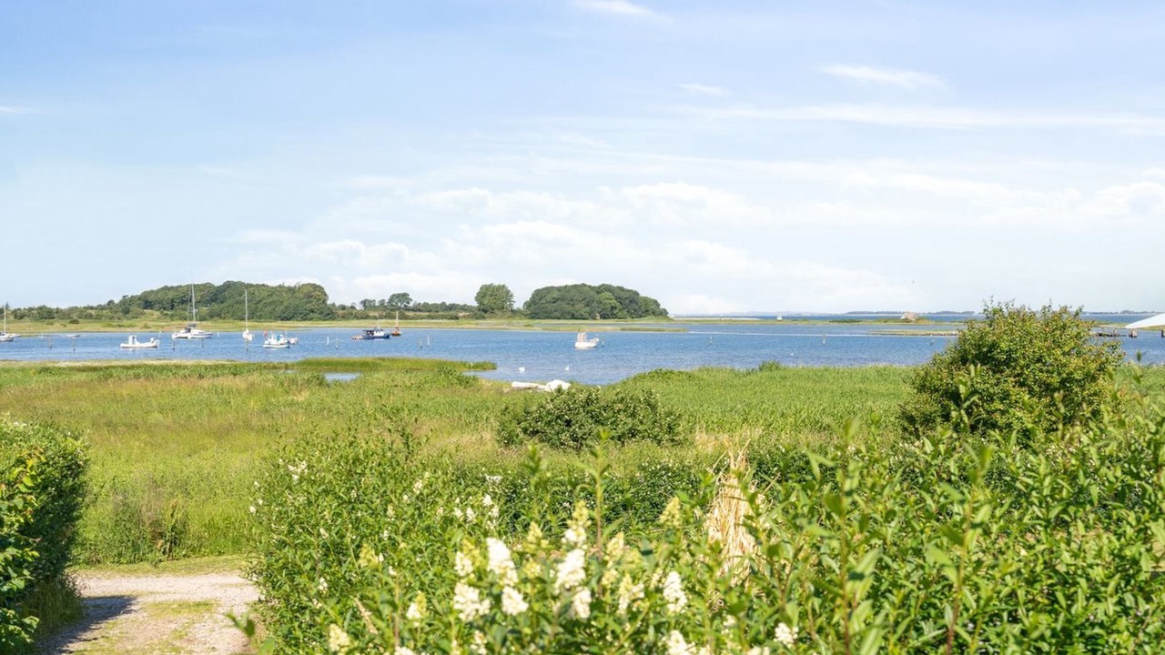 Photo of Others in Assens