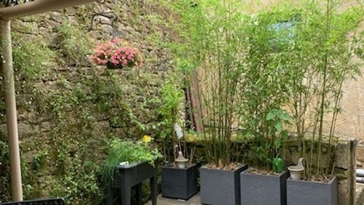 Photo of Outdoor in Beynac-et-Cazenac
