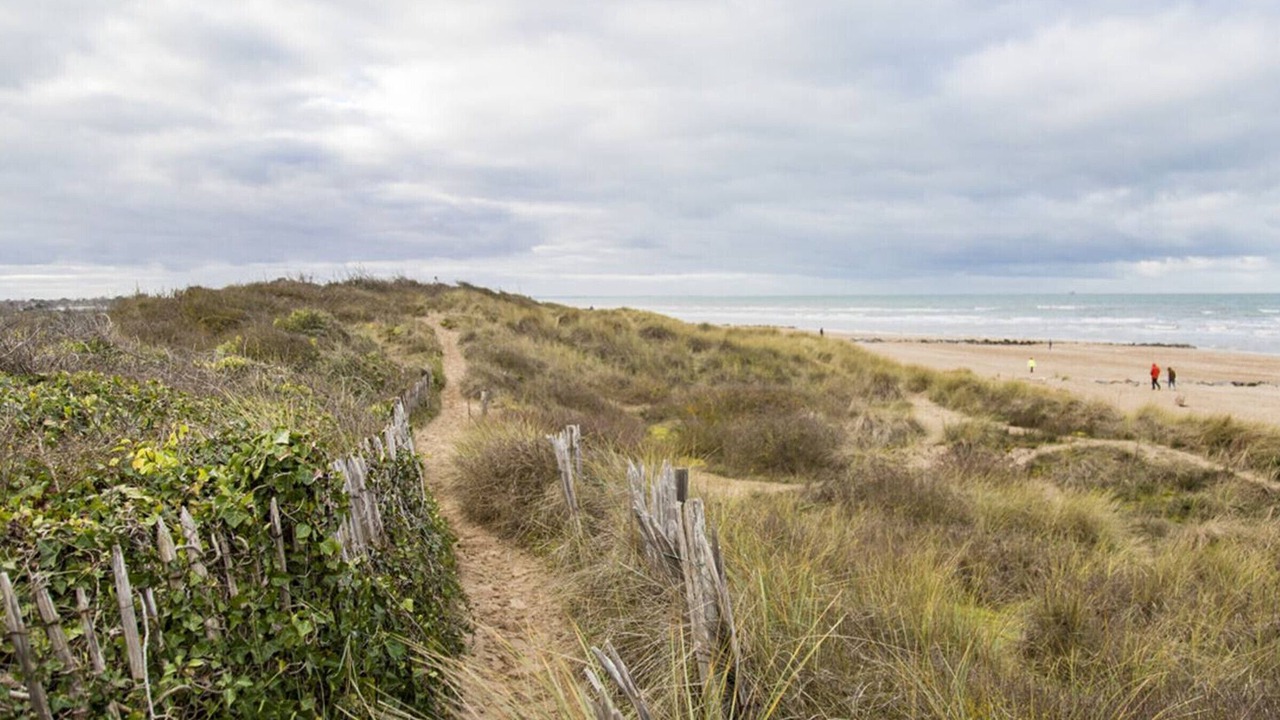 Photo of Others in Le Home