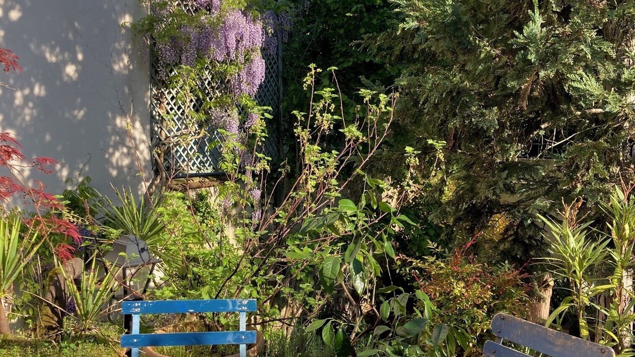 Photo of Outdoor in Garches