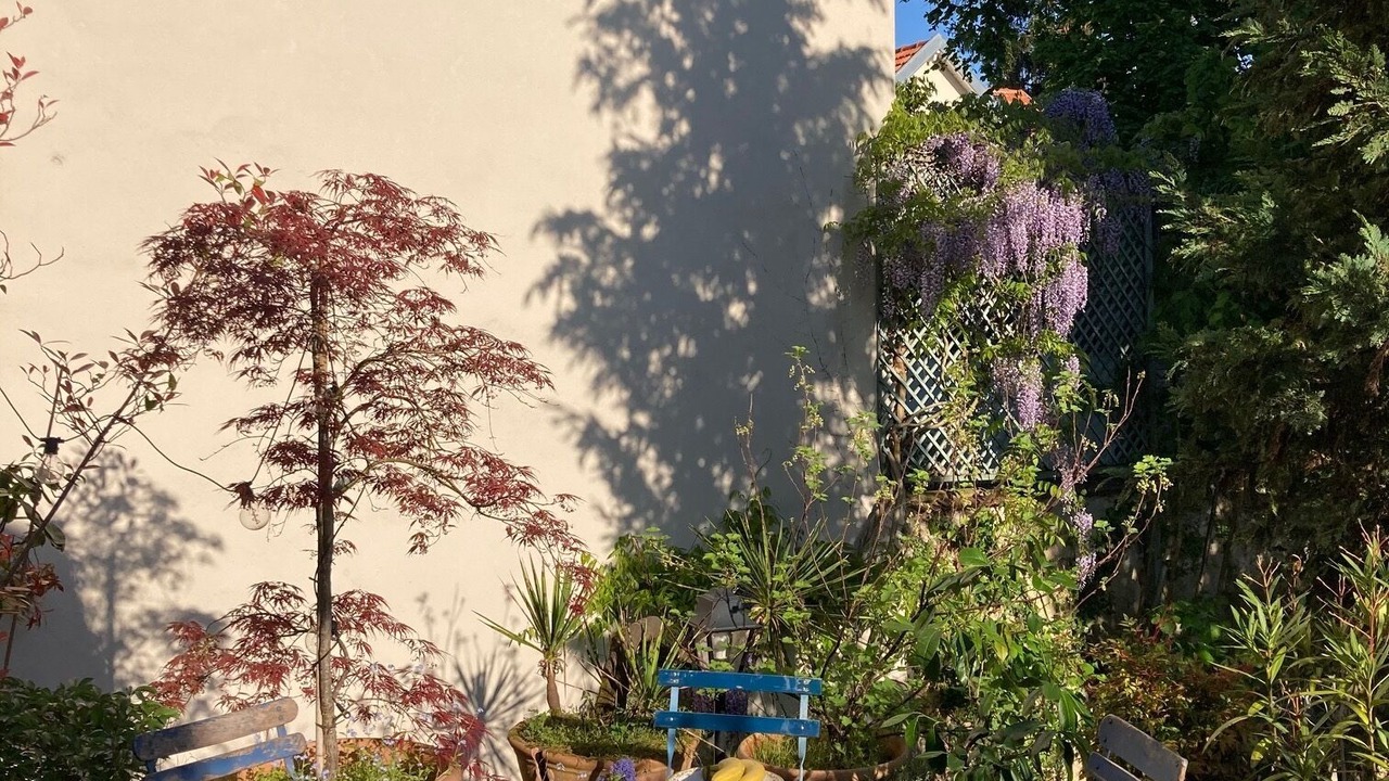 Photo of Outdoor in Garches