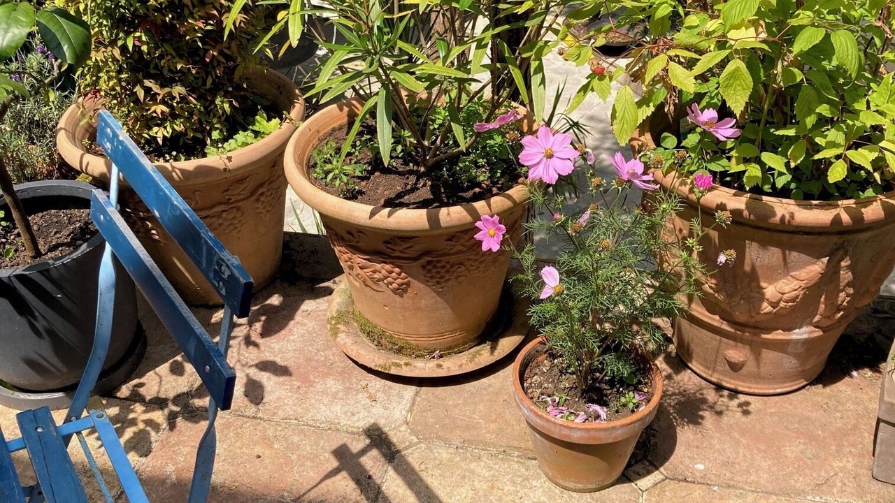 Photo of Outdoor in Garches