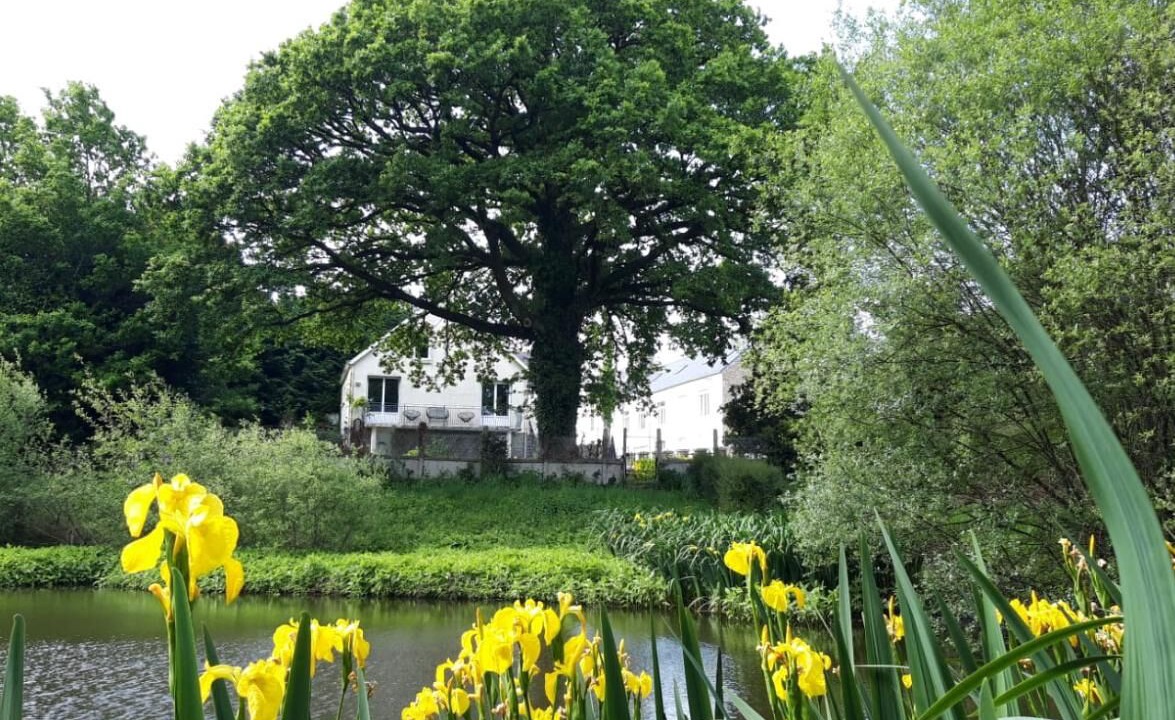 Photo of Outdoor in Ploerdut
