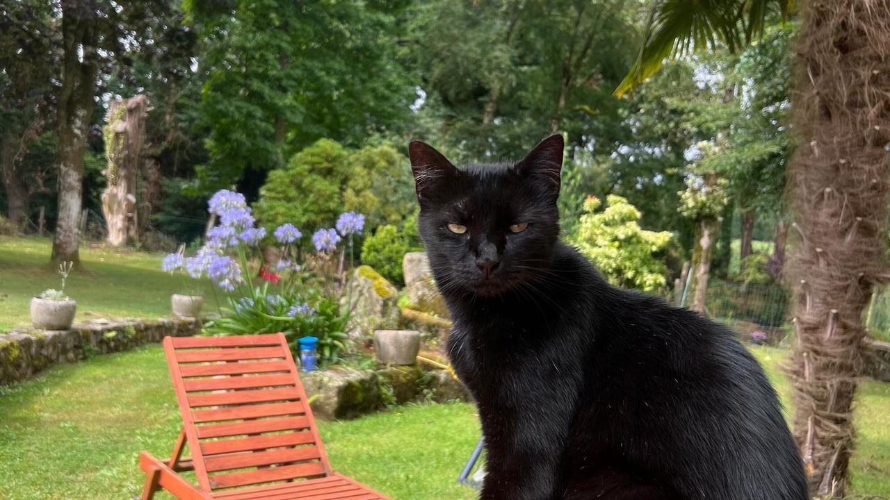 Photo of Outdoor in Plouagat