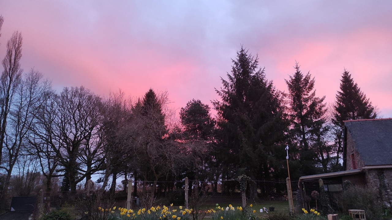 Photo of Others in Plouagat