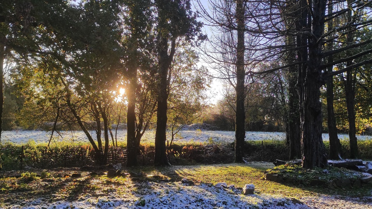 Photo of Others in Plouagat