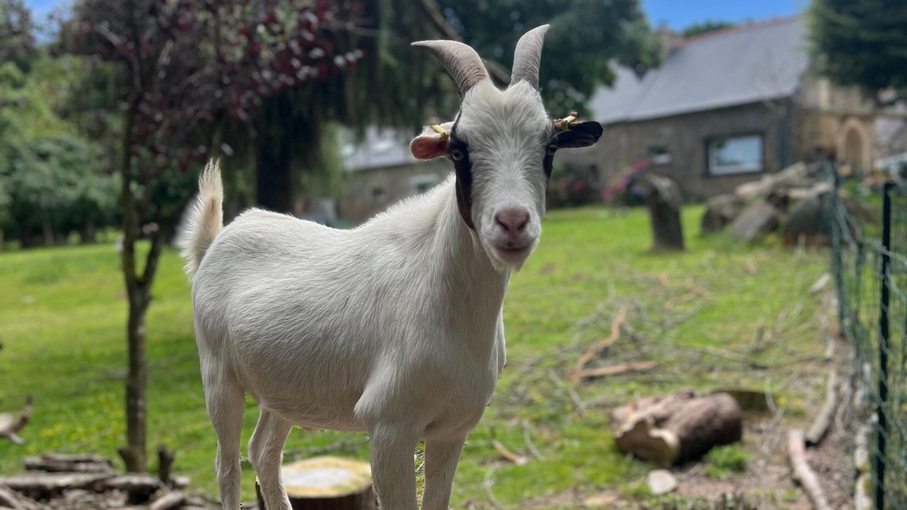 Photo of Outdoor in Plouagat