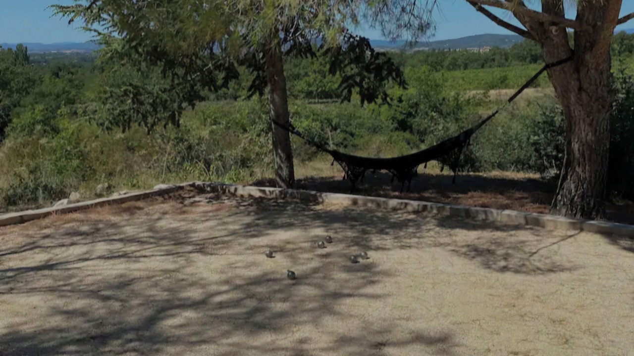 Photo of Others in Barjac