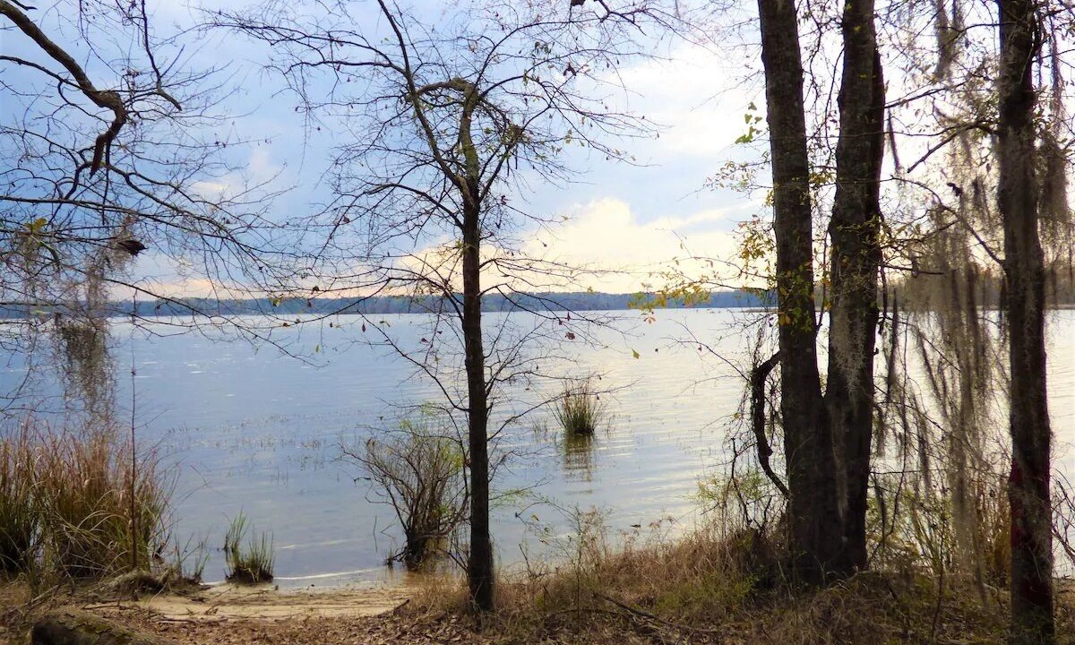 Photo of Others in Georgetown