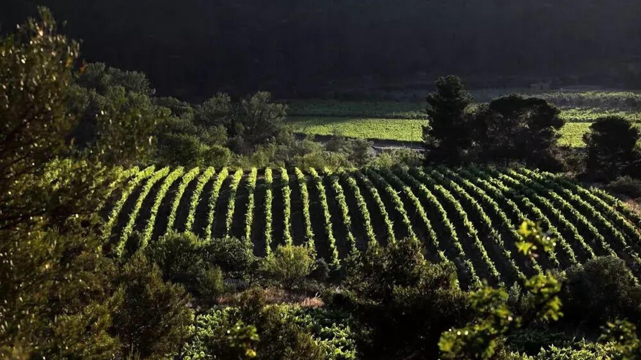 Photo of Others in Bize-Minervois
