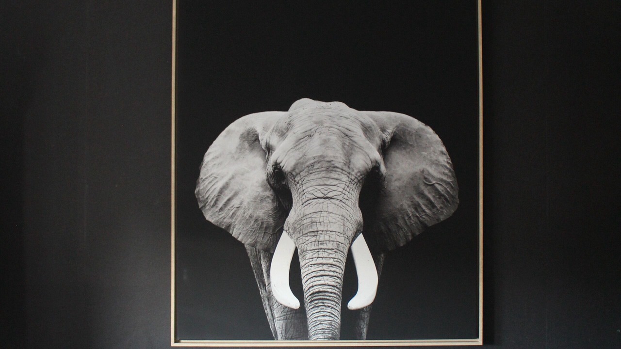 Photo of Others in Maubeuge