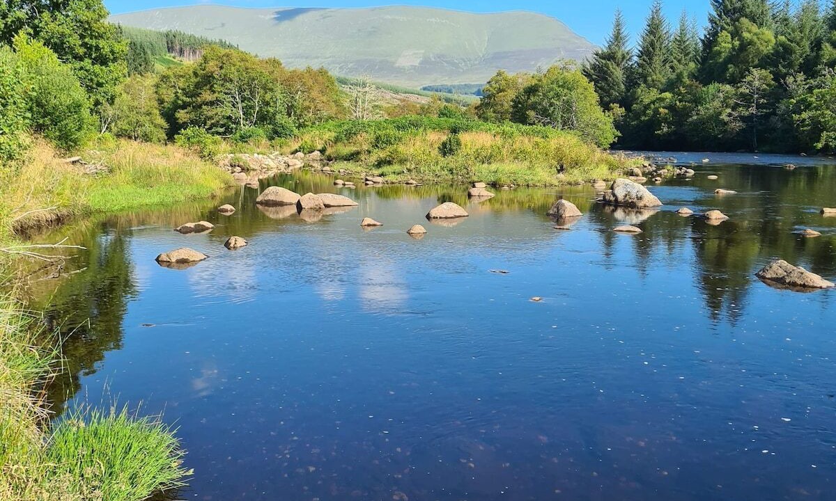 Photo of Others in Mainland