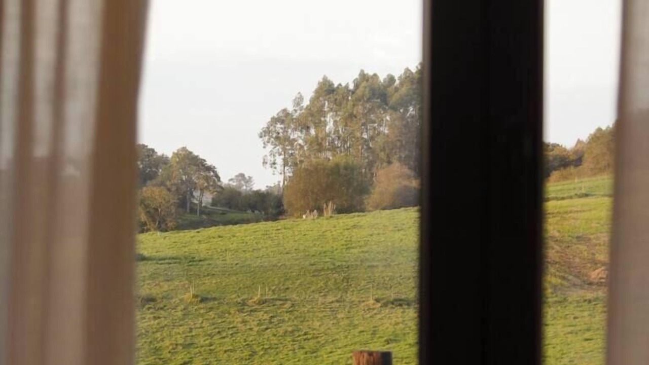 Photo of Others in Caviedes