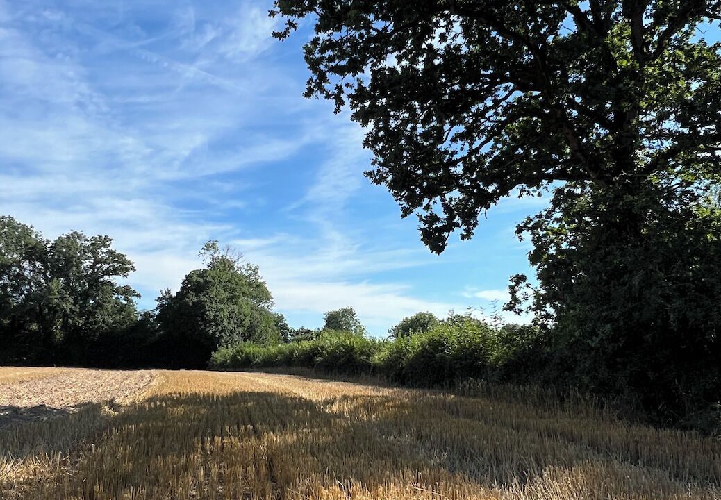 Photo of Others in Bonsmoulins