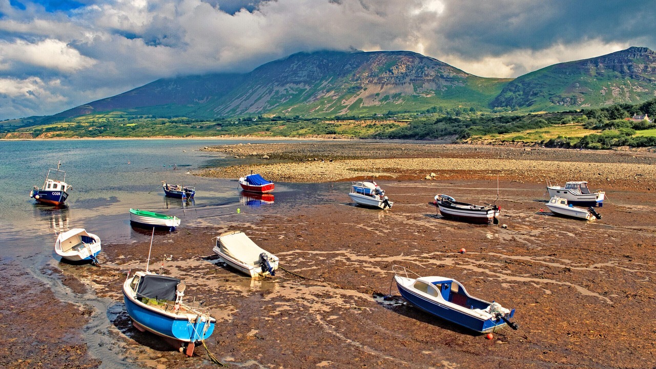 Photo of Others in Trefor