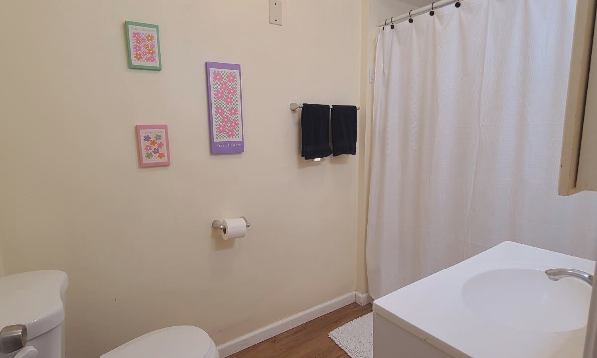 Photo of Bathroom in Oneonta