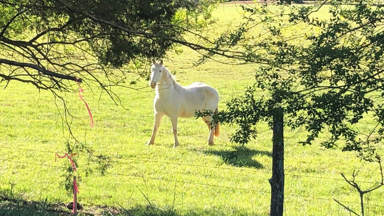 Photo of Others in Madisonville