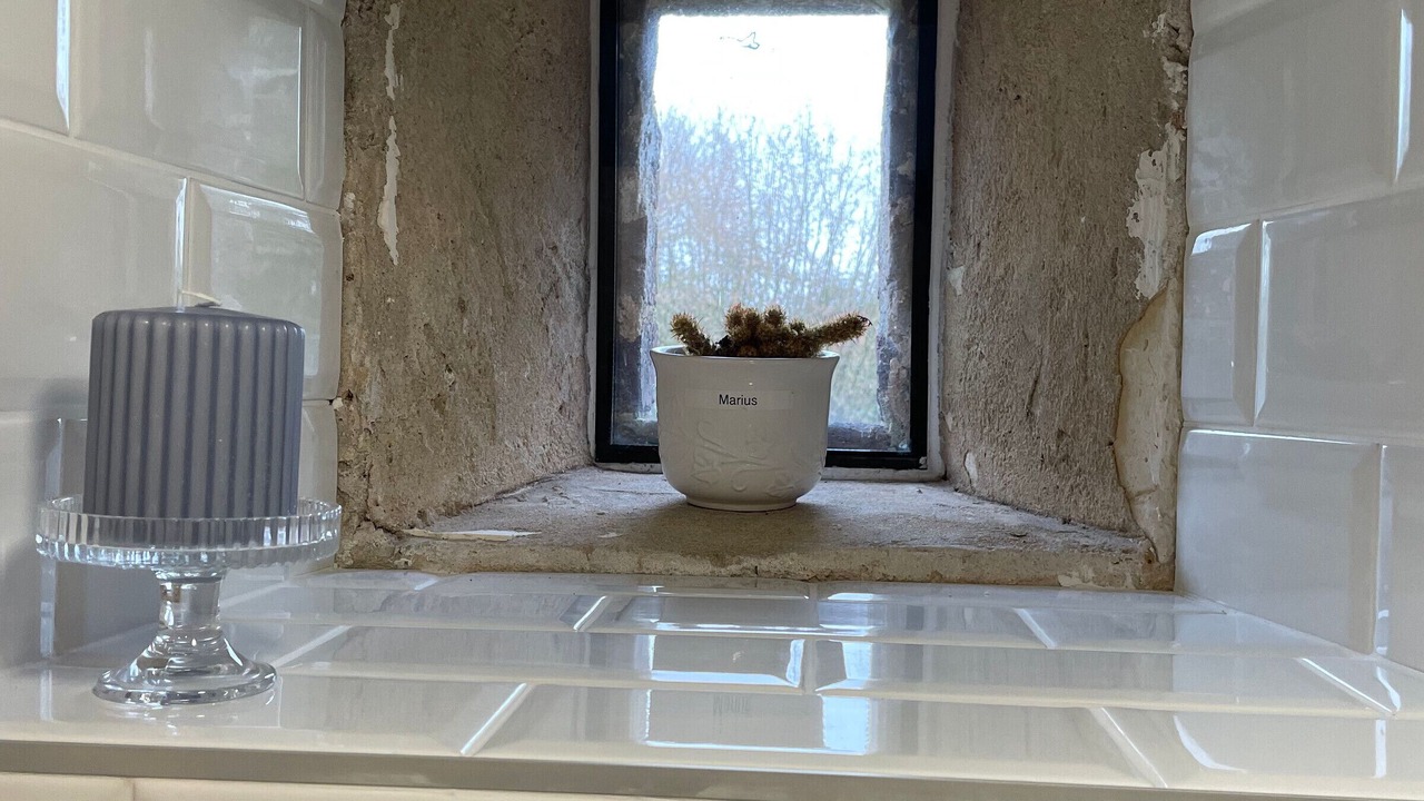 Photo of Others in Montreuil-le-Henri