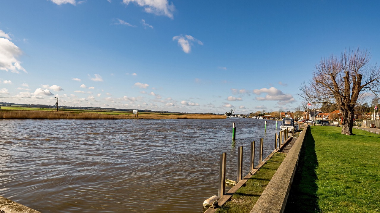 Photo of Others in Reedham