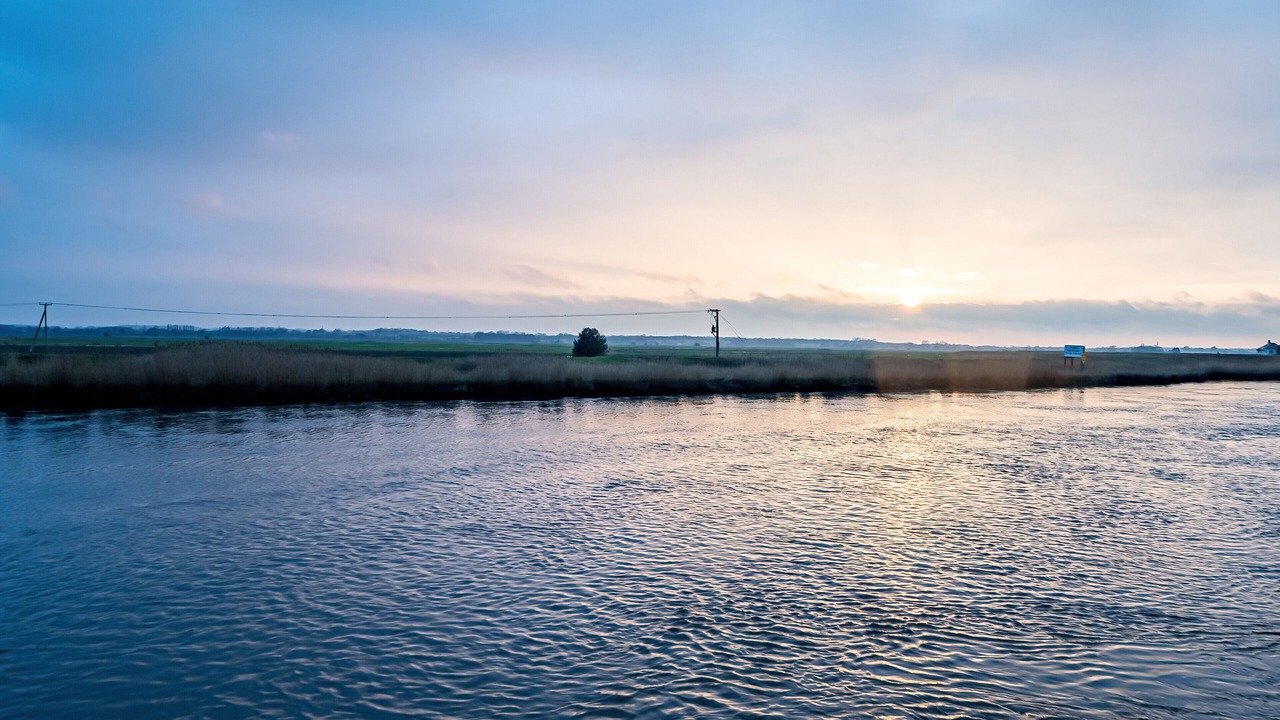 Photo of Others in Reedham