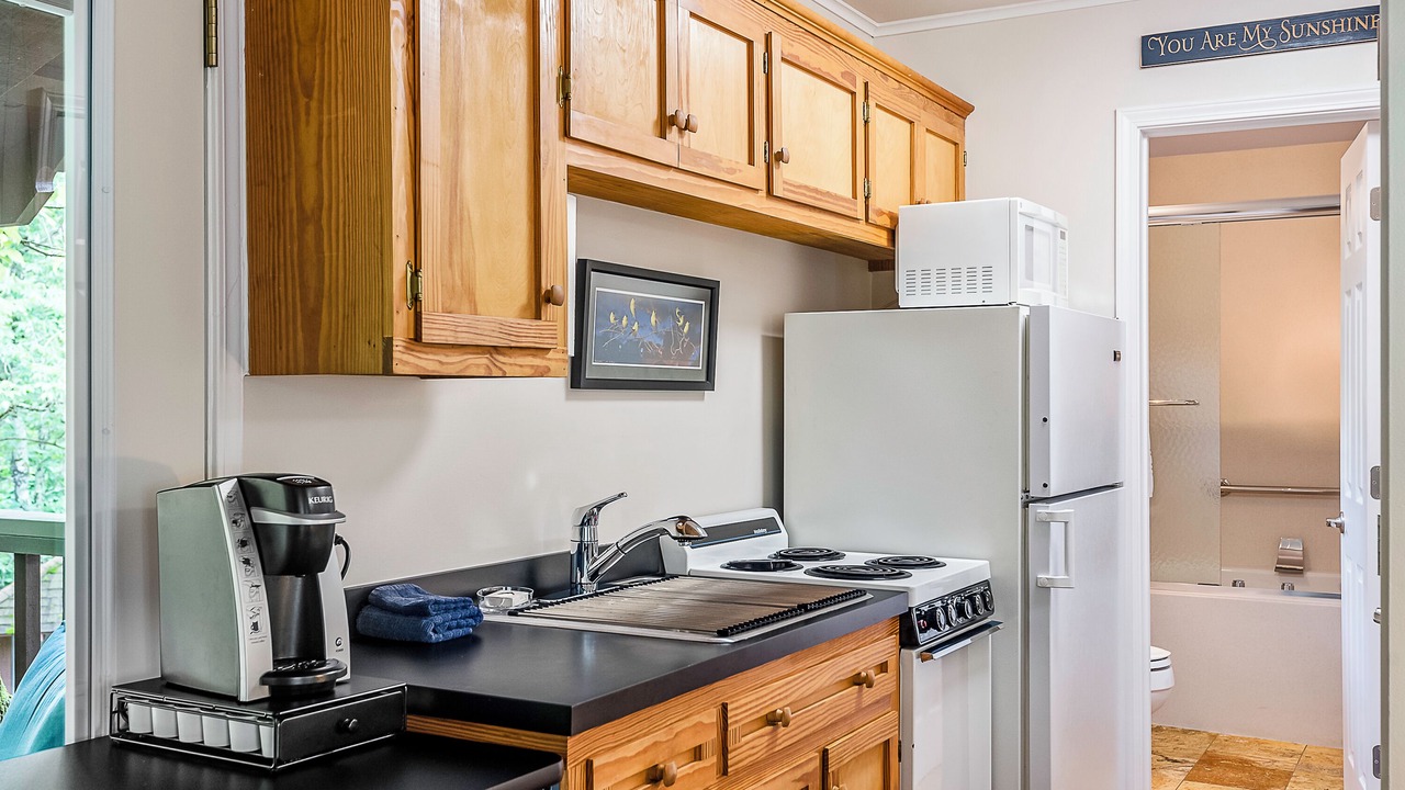 Photo of Kitchen in Eureka Springs Historic District