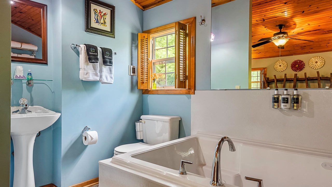 Photo of Bathroom in Eureka Springs Historic District