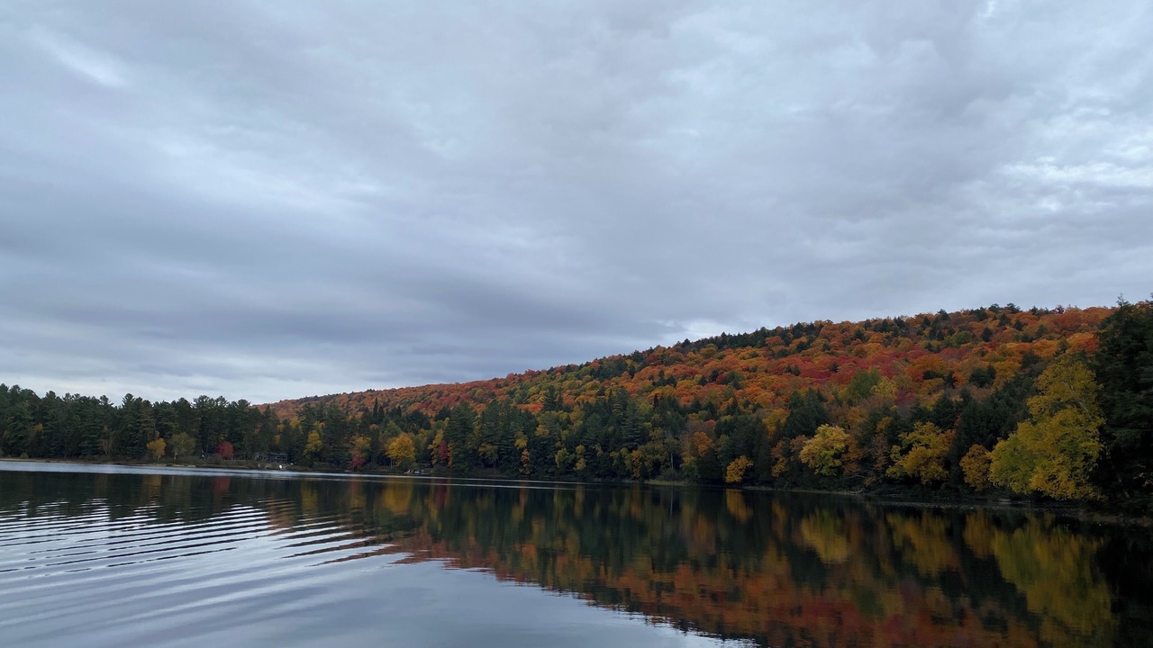 Photo of Others in Lac-du-Cerf