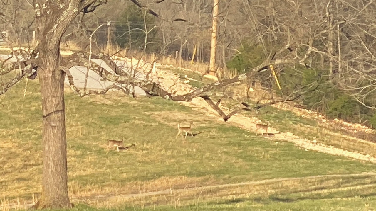 Photo of Others in Marshall