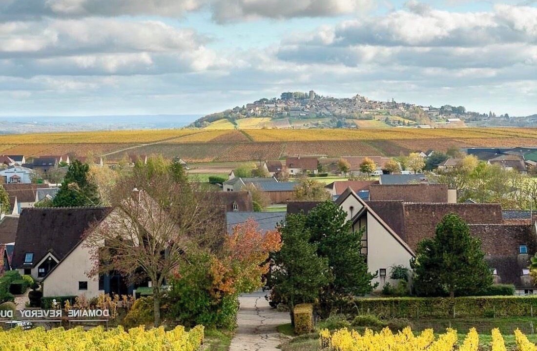 Photo of Others in Sancerre