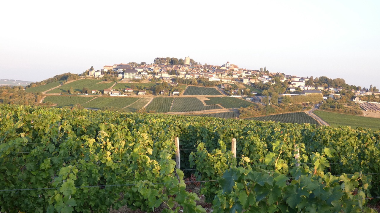Photo of Others in Sancerre