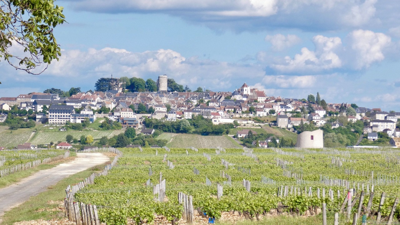 Photo of Others in Sancerre
