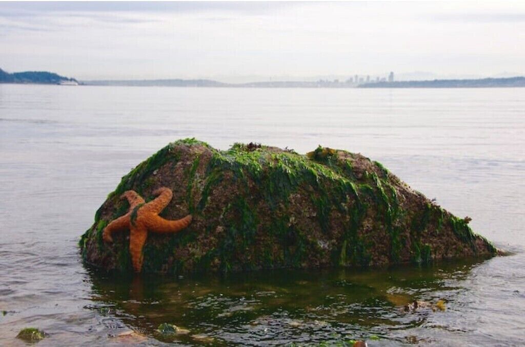 Photo of Others in Manchester