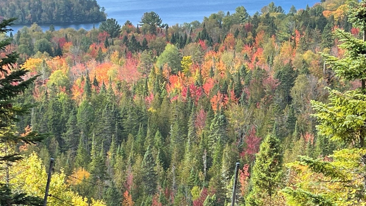 Photo of Others in Sainte-Marguerite-du-Lac-Masson