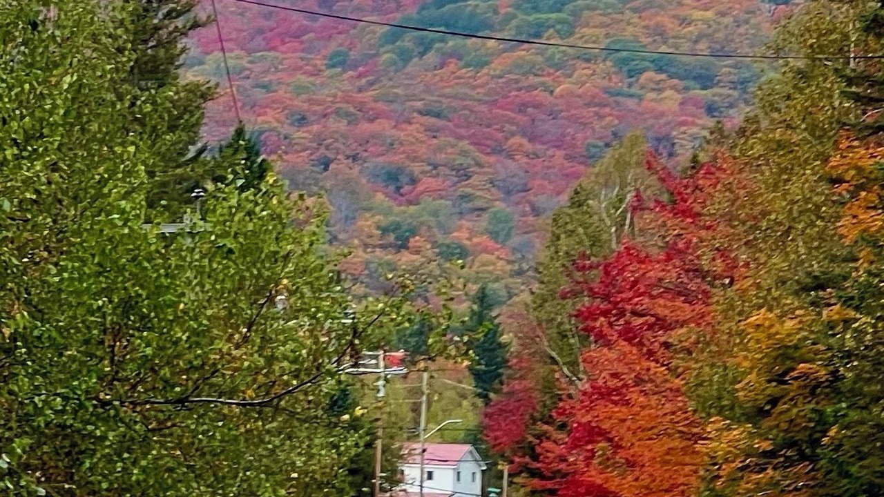 Photo of Others in Sainte-Marguerite-du-Lac-Masson
