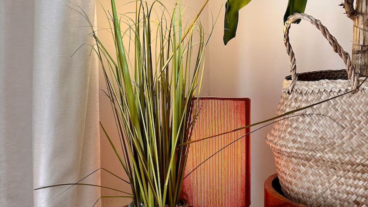 Photo of Others in Roundhay