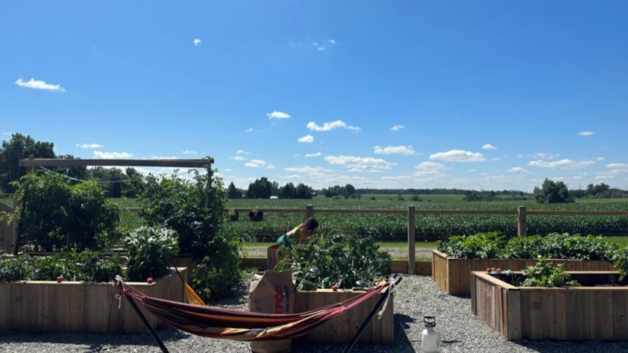 Photo of Outdoor in Caledonia