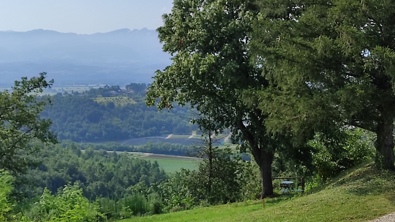 Photo of Others in Peyrins