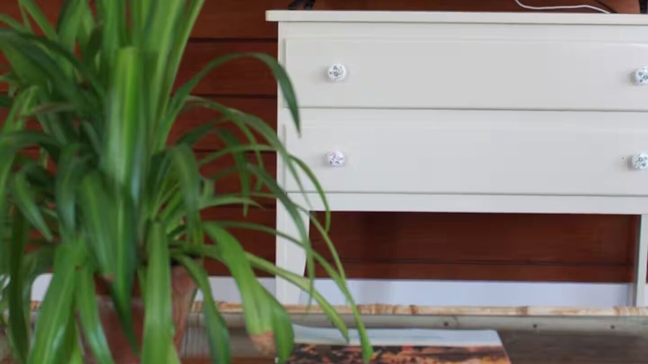 Photo of Others in Paekakariki