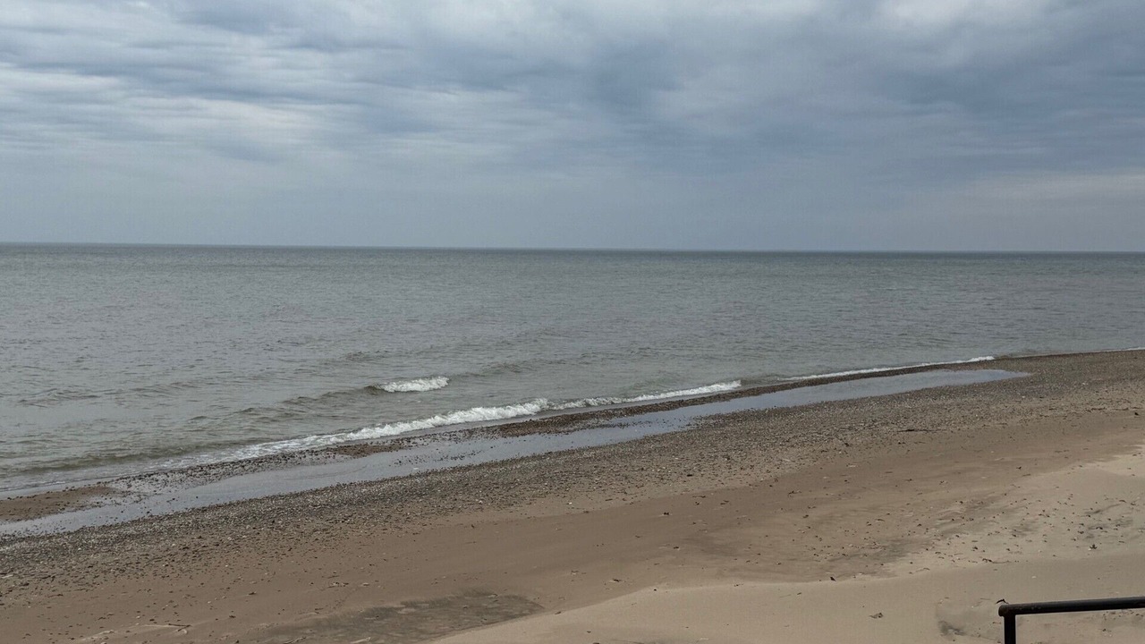 Photo of Others in South Haven