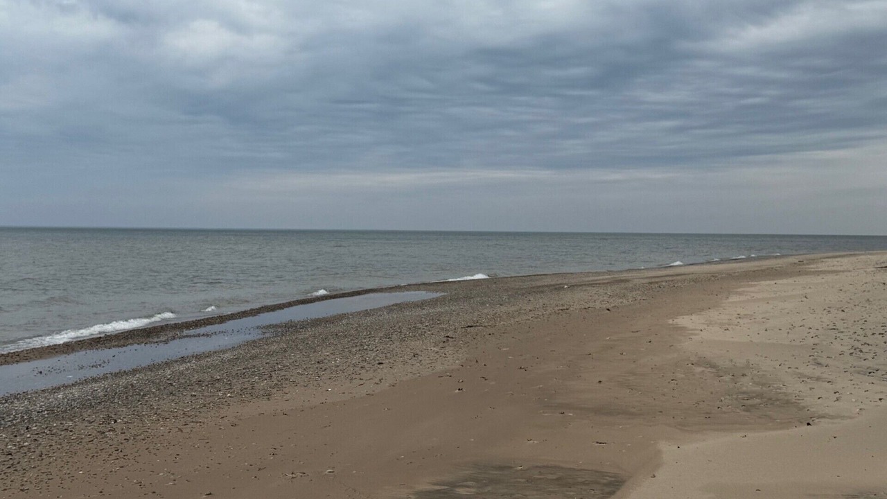 Photo of Others in South Haven