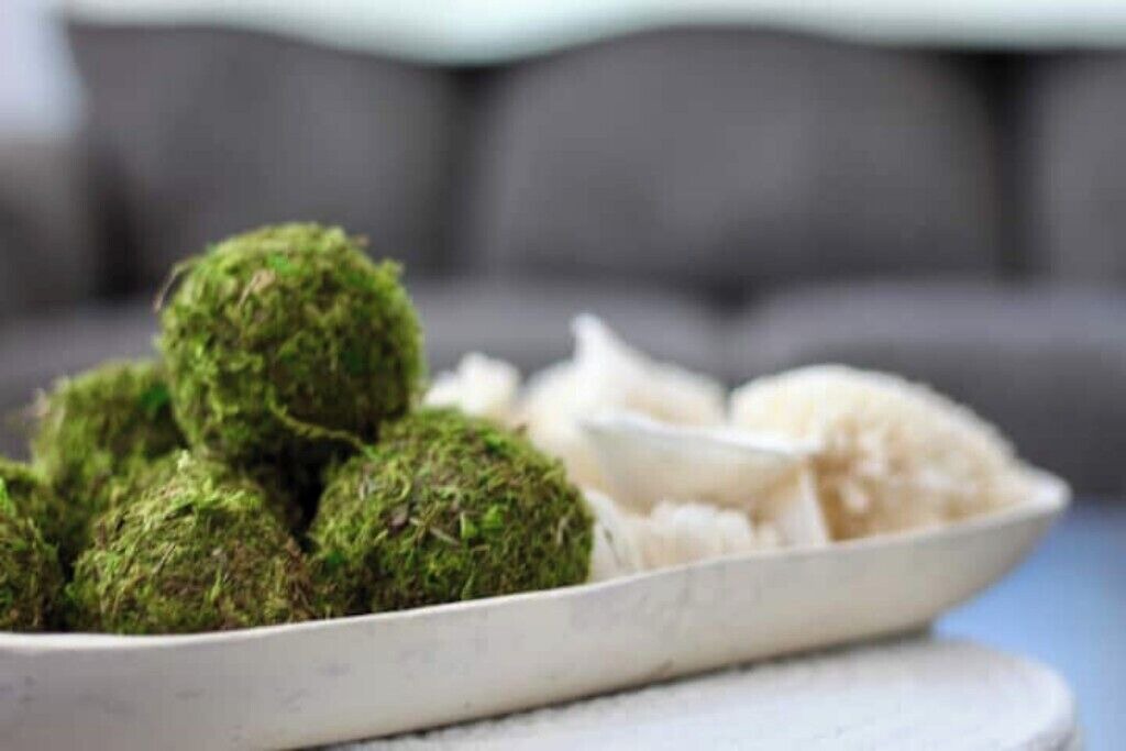 Photo of Others in Pine Bush