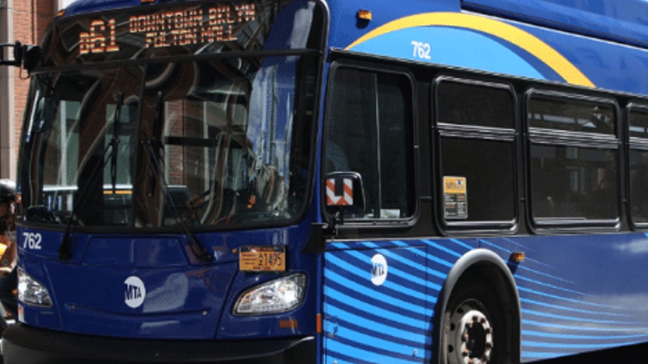 Photo of Others in Queens