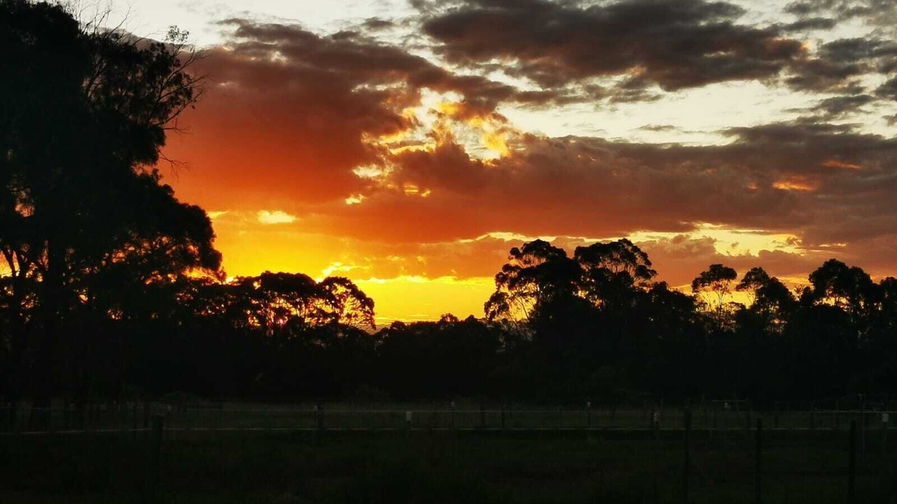 Photo of Others in Glenorie