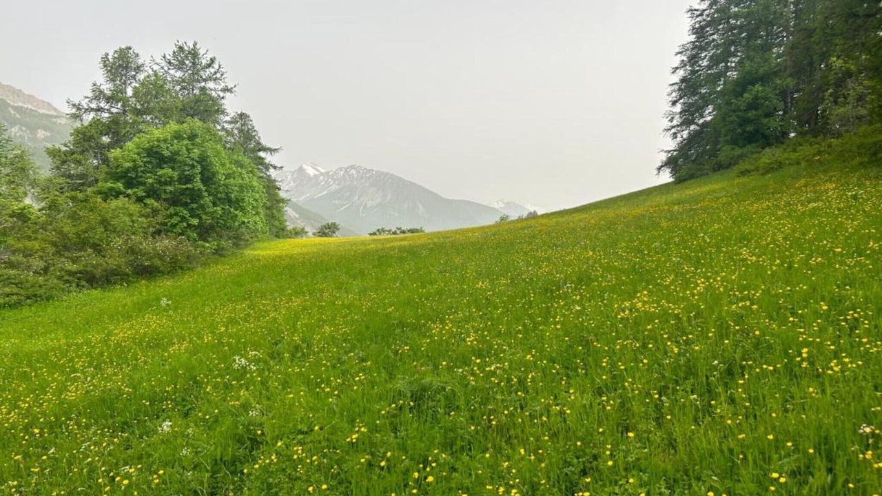Photo of Others in Barcelonnette