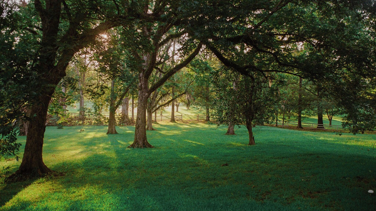 Photo of Outdoor in Harriston
