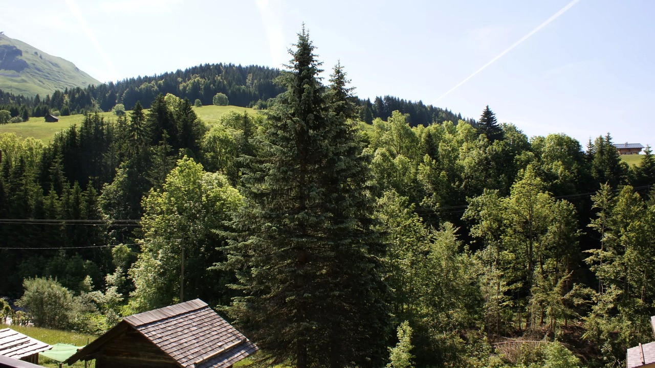 Photo of Outdoor in Le Grand-Bornand